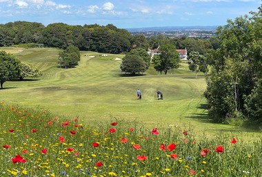 Willingdon GC, E. Sussex Image Golf Organiser